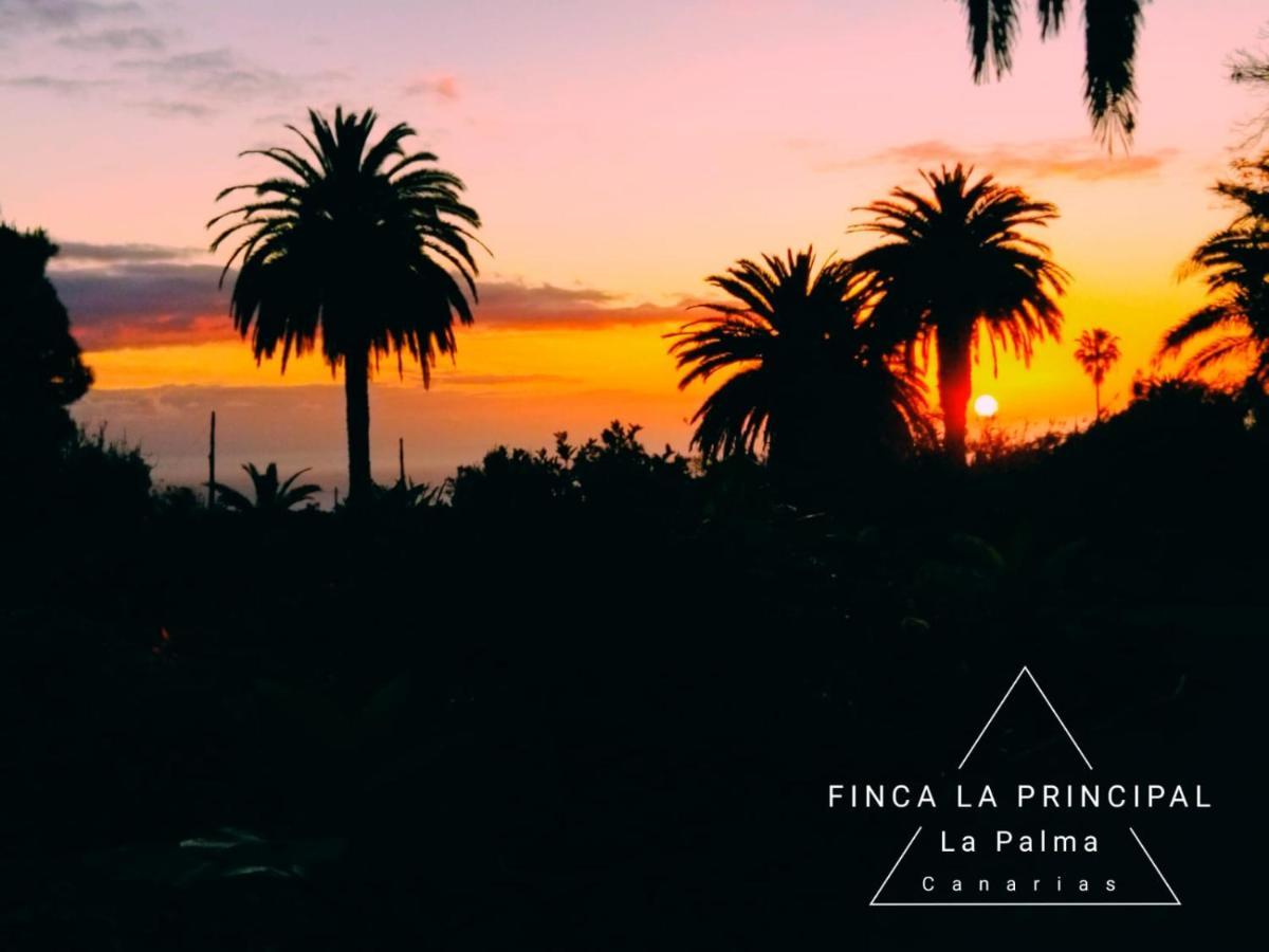 Finca La Principal Brena Alta Exterior photo