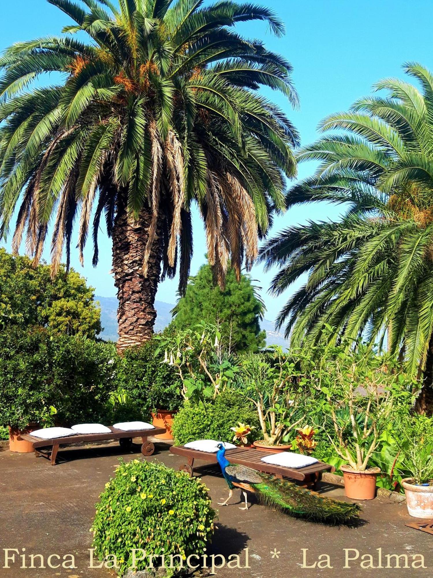 Finca La Principal Brena Alta Exterior photo